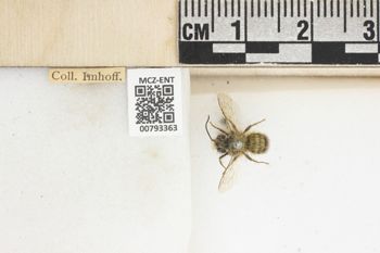 Media type: image;   Entomology 793363 Aspect: Labels